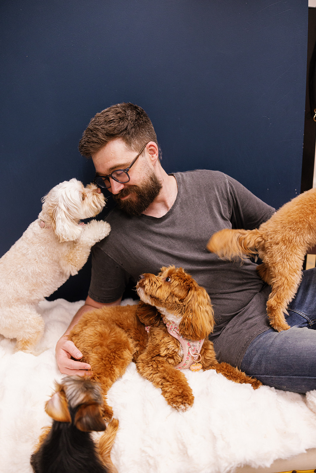 Doggy day care