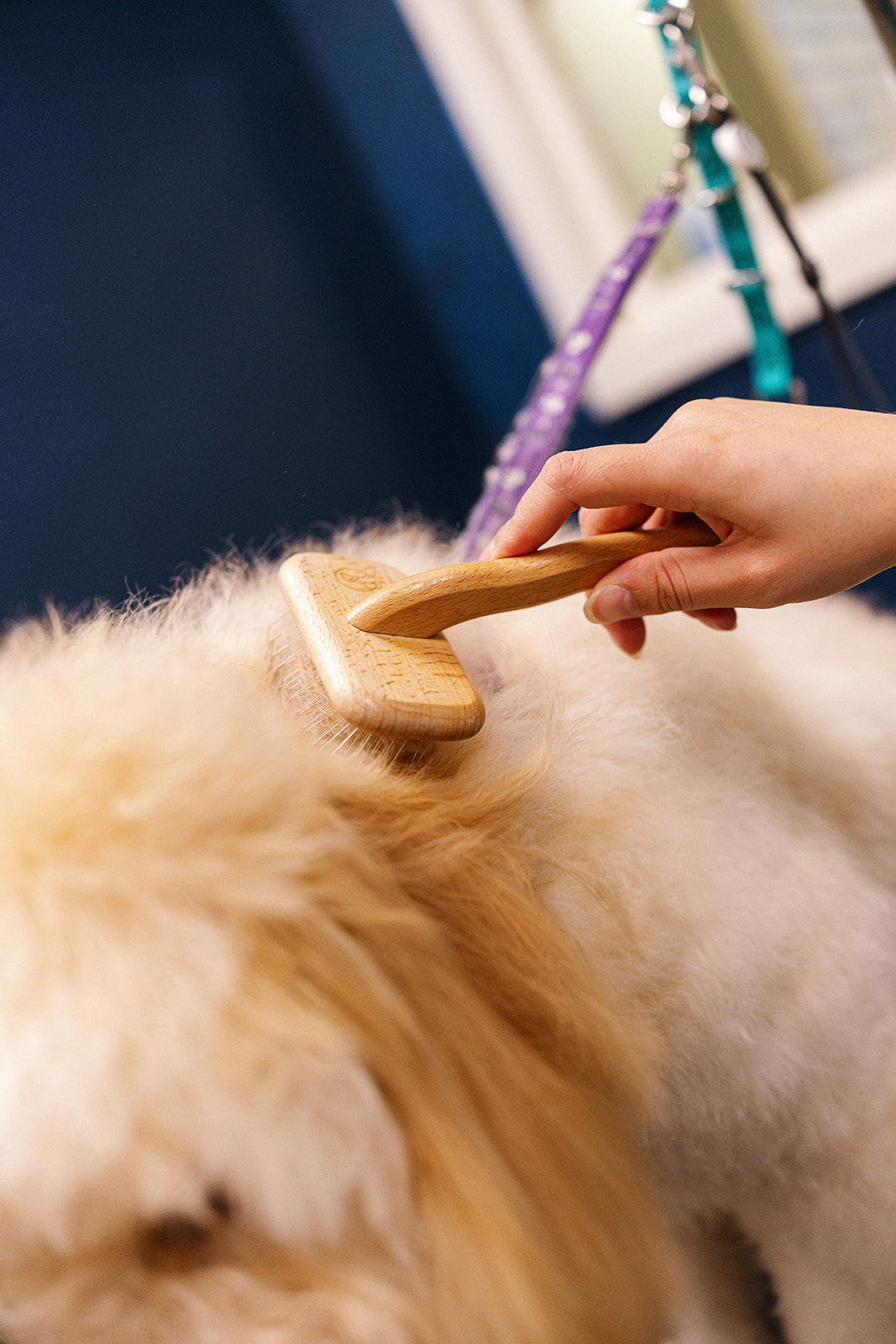 Deshedding brush-out
